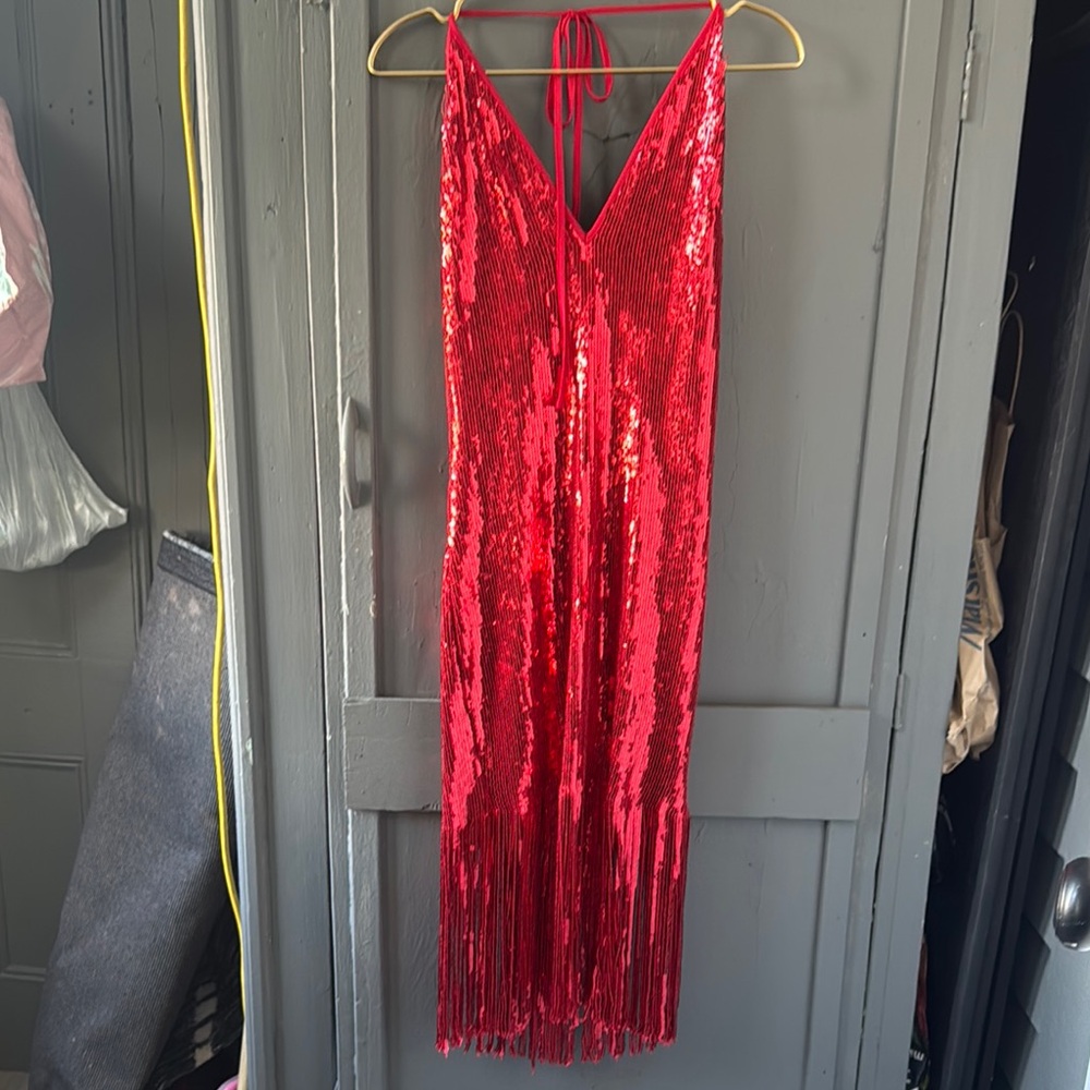 Red Sequin Fringe Dress